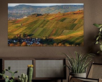 Vineyards in the sunset, autumn colors in the golden October by Daniel Pahmeier