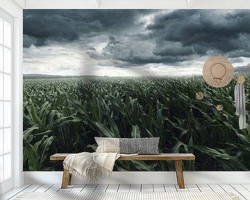 Maïsveld tegen sombere wolken en in stormachtig weer van Besa Art