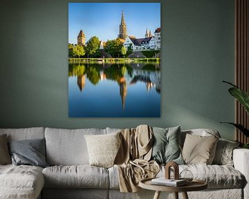 Panorama of the city of Ulm in spring, with river Danube and Ulm Cathedral