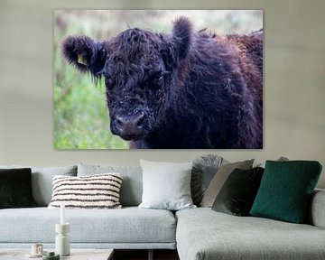 Vliegjes op de neus van Joke van Bemmel