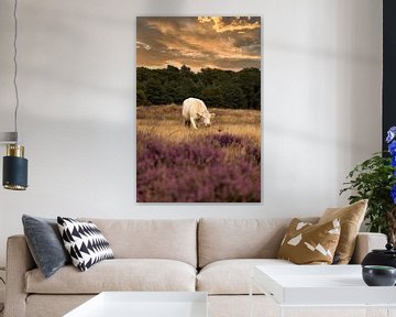 Kuh im Lavendelfeld von Lens Design Studio