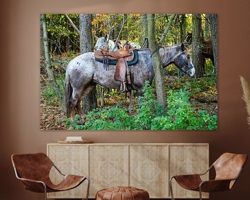 Rustende paarden van Peter Braakmann