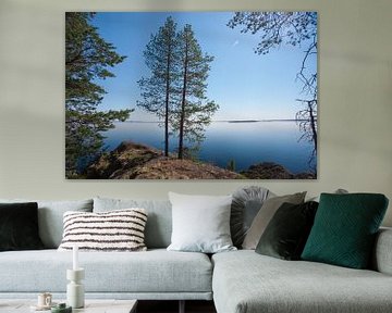 twee kerstbomen op een steen op een achtergrond van blauw water scandinavië, karelia van Michael Semenov