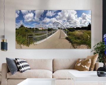 Dessau Panorama - Tiergarten Brug en Oude Stad Skyline