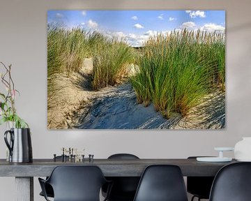 the dune with marram grass