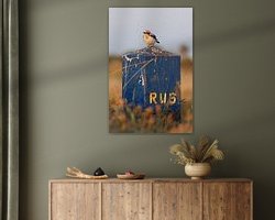 Raumvorschau