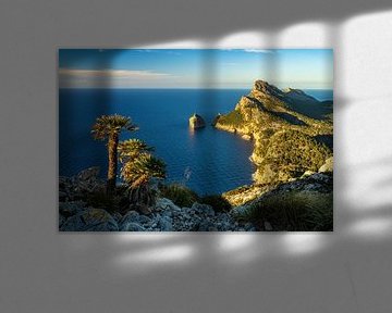 Nordseite von Mallorca zum Sonnenuntergang mit Palme am Albercutx Watchtower