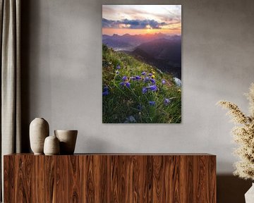Zonsopgang in de Alpen met paarse bloemen en dageraad in het Tannheimer Tal vanuit Gaishorn van Daniel Pahmeier