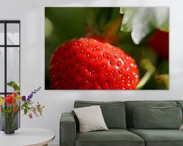 Nahaufnahme von reifen Erdbeeren auf dem Feld von Udo Herrmann