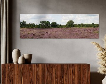 Ballooërveld with heather and pine. by Wim vd Neut