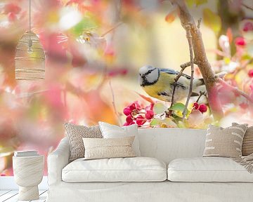 Pimpelmees in de bloeiende appelboom