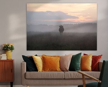 Koe in de mist bij zonsondergang van Esther Wagensveld