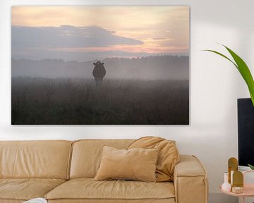 Koe in de mist bij zonsondergang van Esther Wagensveld