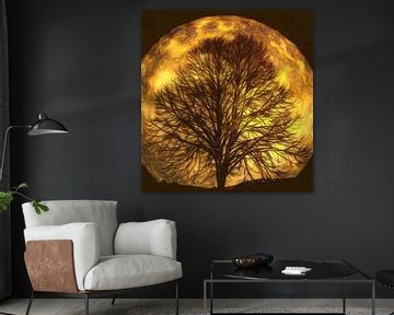 La lune brille à travers les arbres sur Atelier Liesjes