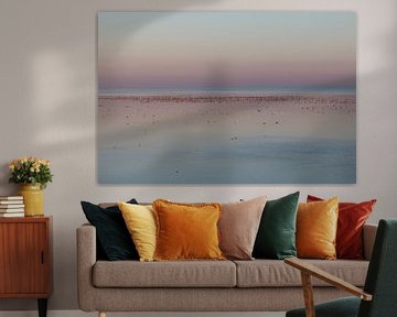 Birds foraging on the tidal flats near Ameland by Johanna Oud