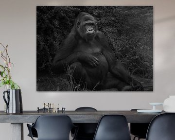 Zilverrug gorilla in Apenheul van Jan van de Laar