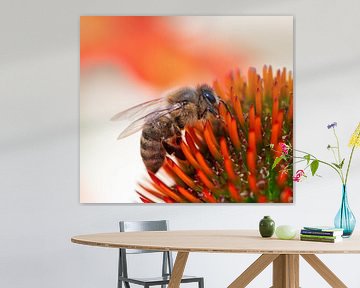 Macrofoto van een coneflower en een bij. van ManfredFotos