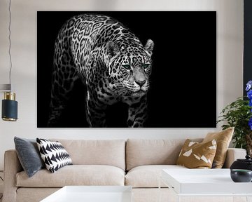 Jaguar van Design Wall Arts