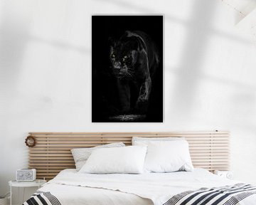 Zwarte Jaguar van Design Wall Arts