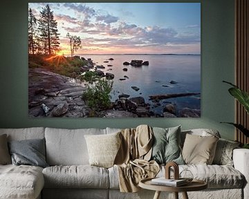 le soleil brille à travers les sapins dans une baie rocheuse de Carélie aux eaux bleu-rose, scandina