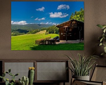 Wunderschöne Landschaft am Rennsteig/Thüringer Wald von Oliver Hlavaty