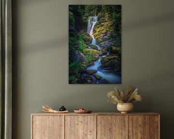 De watervallen van Triberg van Henk Meijer Photography