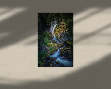 De watervallen van Triberg van Henk Meijer Photography