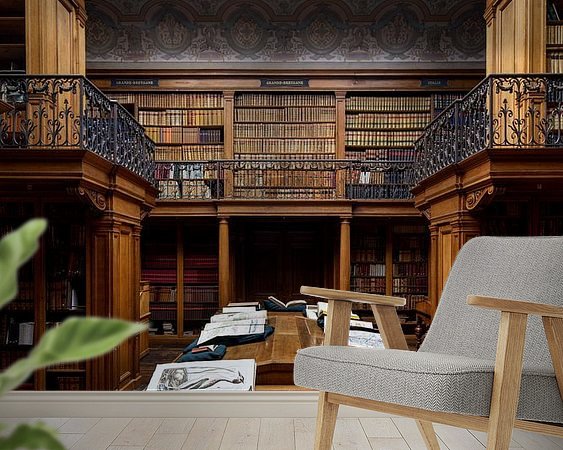 Aperçu de la chambre