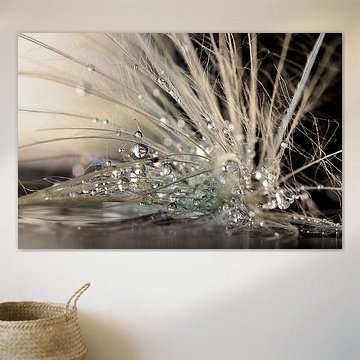 Perlen von Maryam Zahirimehr