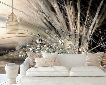 Pearls by Maryam Zahirimehr