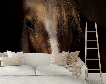 Sapience by Martine Benezech