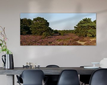 Twee Grove dennen en bloeiende heide op het Terhosterzand. van Wim vd Neut