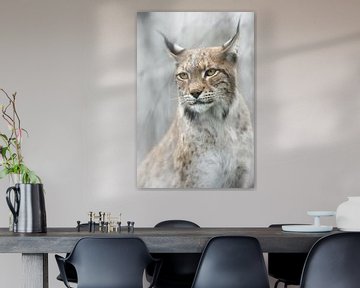 Lynx portret in de mist, Santiago Pascual Buye van 1x