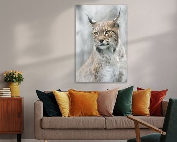 Lynx portret in de mist, Santiago Pascual Buye van 1x