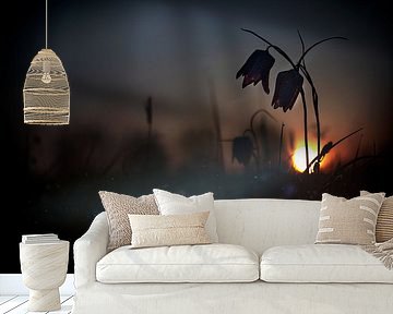 " Mystical meadow..." by Wil Mijer