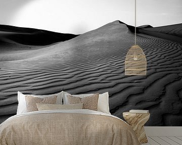 Wüstenlandschaft  in Schwarz und Weiß von Roel Beurskens