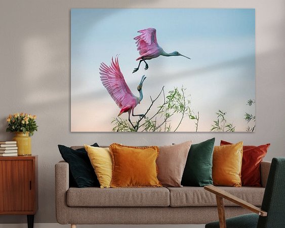 Aperçu de la chambre