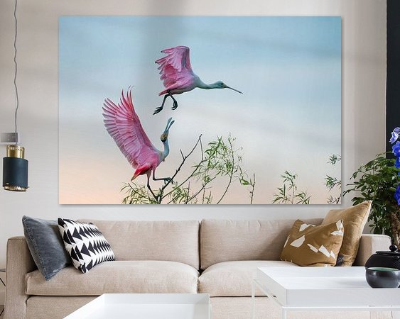 Aperçu de la chambre