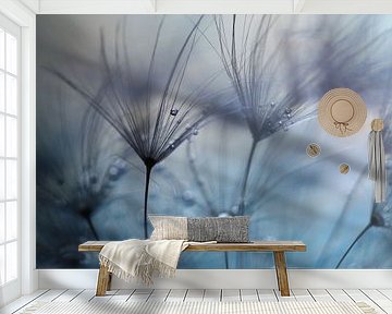 Teardrops by Mathieu Irthum