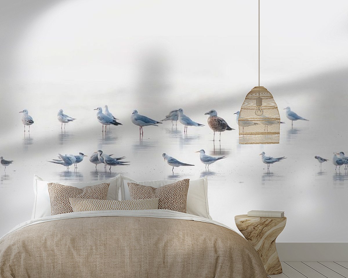 Raumvorschau