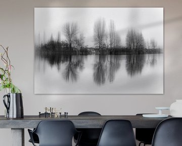 Reflected trees, Fabrizio Massetti by 1x