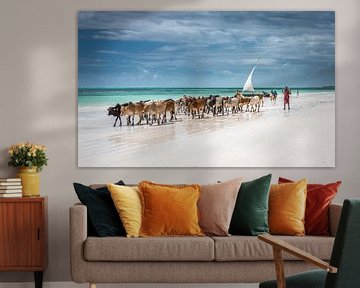 Masai-Rinder am Strand von Sansibar, Jeffrey C. Sink von 1x