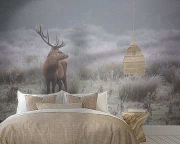 Prideful. deer . by AiToR Badiola