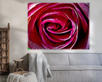 Rose Fire