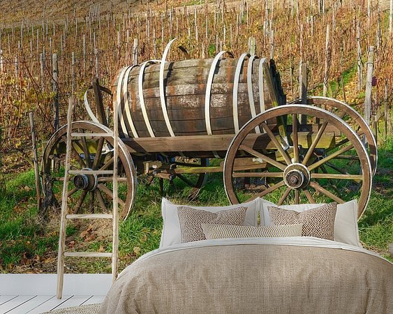Aperçu de la chambre