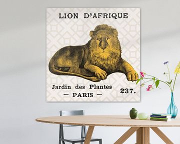 Lion Safari Bright sur Taupe, Sue Schlabach