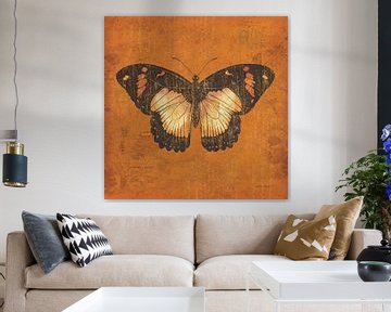 Apricot Butterfly, Katie Pertiet