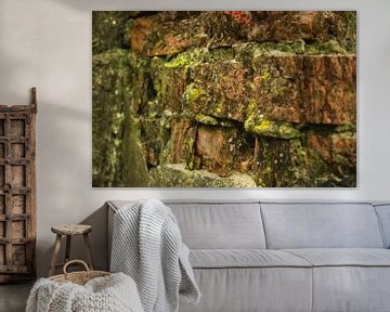 Robust wall with moss by Eugenlens