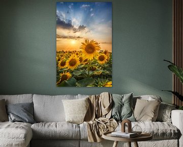 Zonnebloemen in de zonsondergang van Melanie Viola