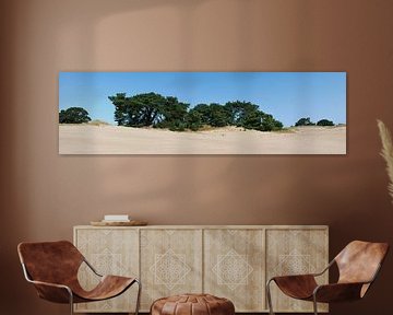 Panorama van een zandduin. van Wim vd Neut